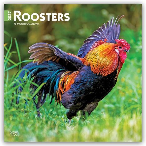 Text: „2027 Roosters, 16-Month Calendar“. Ein bunter Hahn breitet lebhaft seine Flügel auf einer grünen Wiese aus.
