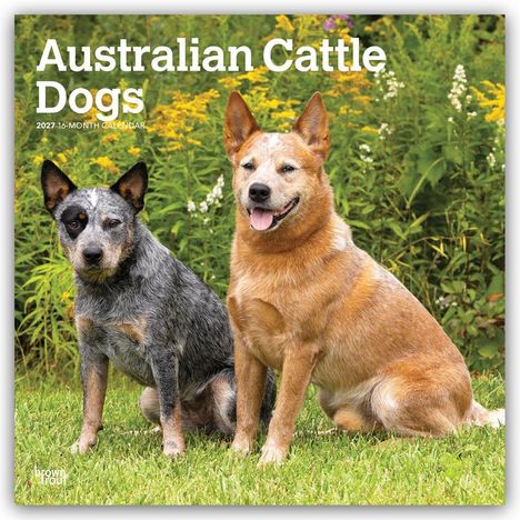 "Australian Cattle Dogs" und "2027 16-Month Calendar" stehen oben. Zwei Hunde sitzen auf Gras, umgeben von Pflanzen.