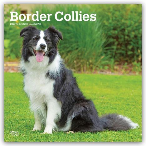 Text: "Border Collies 2027 16-Month Calendar." Ein Border Collie sitzt auf einer grünen Wiese mit Pflanzen im Hintergrund.