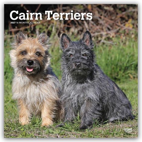 "Cairn Terriers" 2027 Kalender. Zwei Terrier sitzen auf Gras, ein heller und ein dunkler, mit aufmerksamem Blick.