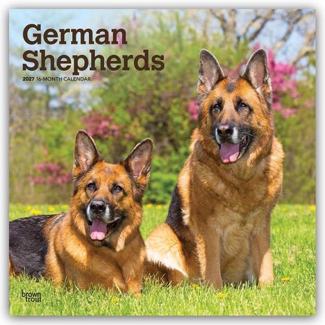 „German Shepherds 2027 16-Month Calendar“. Zwei Deutsche Schäferhunde sitzen auf einer Wiese, im Hintergrund blühende Bäume.