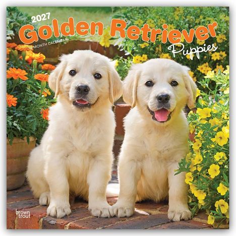 Text: "2027 Golden Retriever Puppies, 16-Month Calendar." Zwei fröhliche Welpen vor bunten Blumen.