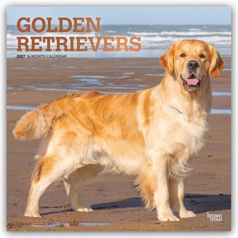 „GOLDEN RETRIEVERS 2027 16-MONTH CALENDAR“ steht in orange. Ein Golden Retriever am Strand lächelt in die Kamera.