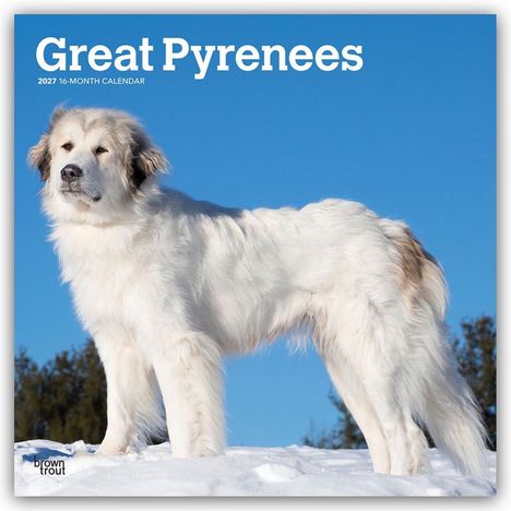 Text: "Great Pyrenees 2027 16-Month Calendar." Ein großer weißer Hund steht majestätisch im Schnee vor blauem Himmel.