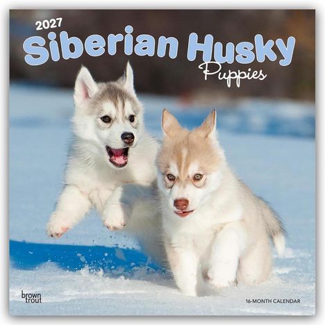 „2027 Siberian Husky Puppies“ und „16-Month Calendar“ sind zu sehen. Zwei Husky-Welpen toben durch den Schnee.