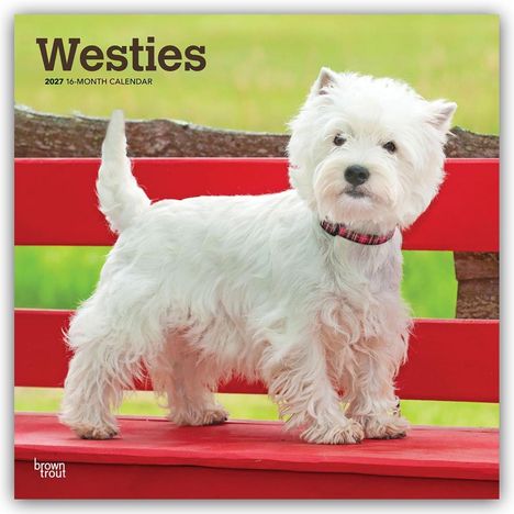"Westies 2027 16-Month Calendar" in dicker Schrift. Ein West Highland Terrier steht auf einer roten Bank, grüner Hintergrund.