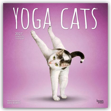 „YOGA CATS“, „2027 16-Month Calendar“. Illustration: Katze in Yoga-Pose vor lila Hintergrund.