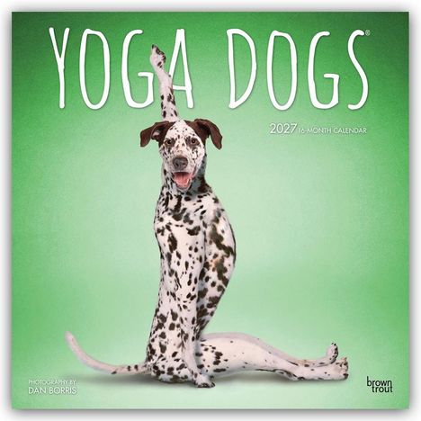 Text: "YOGA DOGS 2027 16-MONTH CALENDAR." Ein Dalmatiner in einer Yoga-Pose vor grünem Hintergrund.