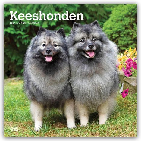 „Keeshonden 2027 16-Month Calendar“. Zwei flauschige, grau-schwarze Hunde lächeln, mit Blumen und grünen Büschen im Hintergrund.