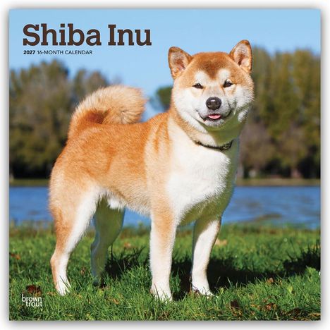 Text: "Shiba Inu", "2027 16-Month Calendar". Ein lächelnder Shiba Inu steht auf grünem Gras vor einem See.