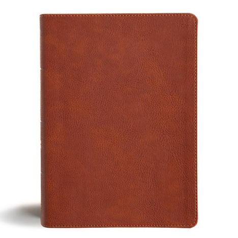 Csb Bibles By Holman: CSB Study Bible, Personal Size, Digital Study Edition, Burnt Sienna Leathertouch, Buch
