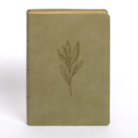Holman Bible Publishers: NASB Super Giant Print Reference Bible, Sage Suedesoft Leathertouch, Buch
