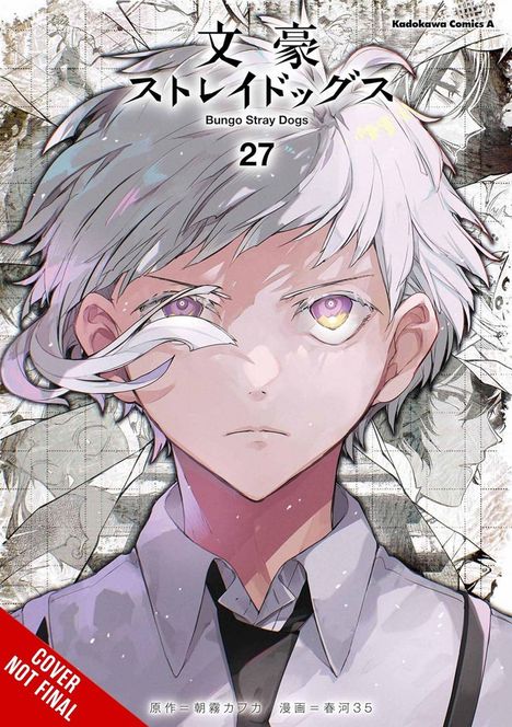"Bungo Stray Dogs 27" steht über einem jungen Mann mit weißem Haar und lila Augen. Unten links "Cover Not Final".