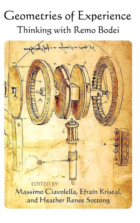 Geometries of Experience, Buch