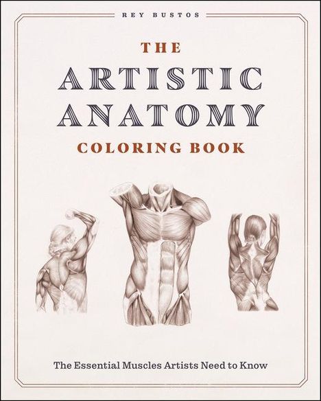 "The Artistic Anatomy Coloring Book. The Essential Muscles Artists Need to Know." Drei anatomische Zeichnungen von Muskeln.