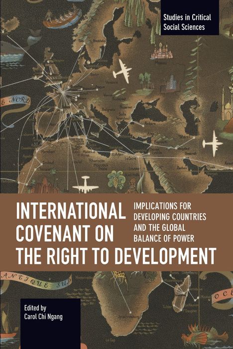 "International Covenant on the Right to Development", Karte mit Flugzeugen und Gebäuden, Buchreihe "Studies in Critical Social Sciences".