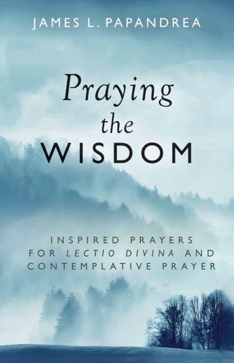 JAMES L. PAPANDREA. Praying the Wisdom. Inspired prayers for Lectio Divina and contemplative prayer. Nebelige Winterlandschaft.