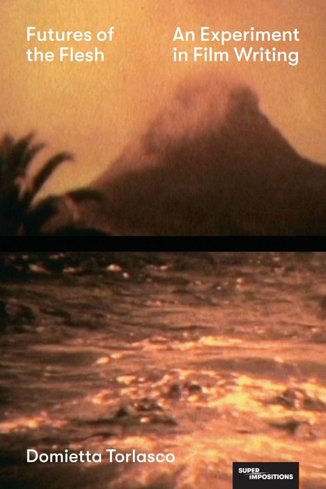 „Futures of the Flesh“, „An Experiment in Film Writing“, „Domietta Torlasco“. Oben ein verschwommener Vulkan, unten Wasser.