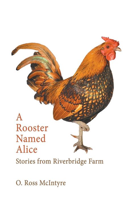 O. Ross McIntyre: A Rooster Named Alice, Buch