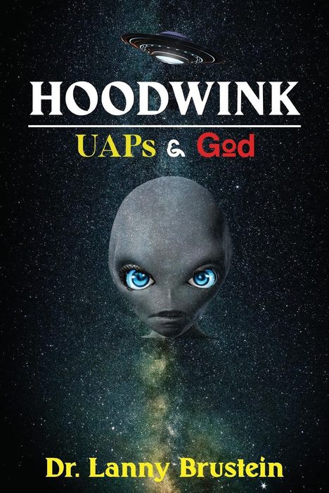 Lanny Brustein: Hoodwink, Buch