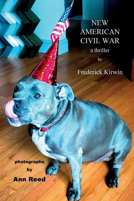 Kirwin: New American Civil War, Buch