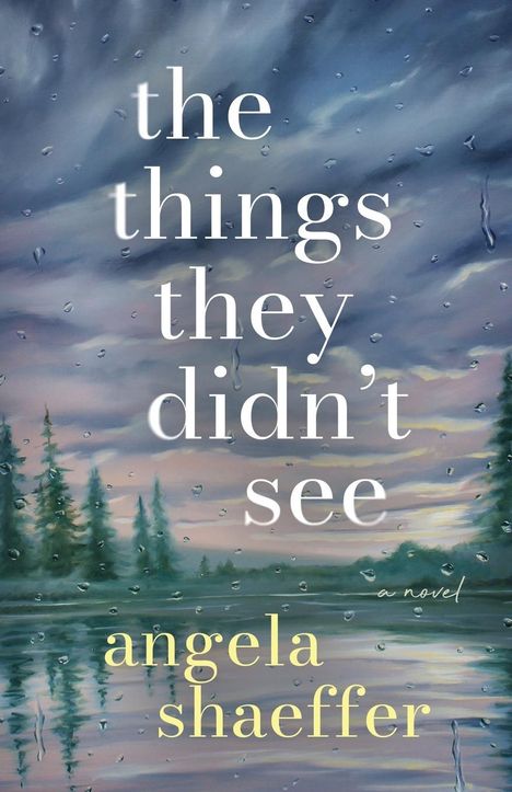 Angela Shaeffer: The Things They Didn't See, Buch