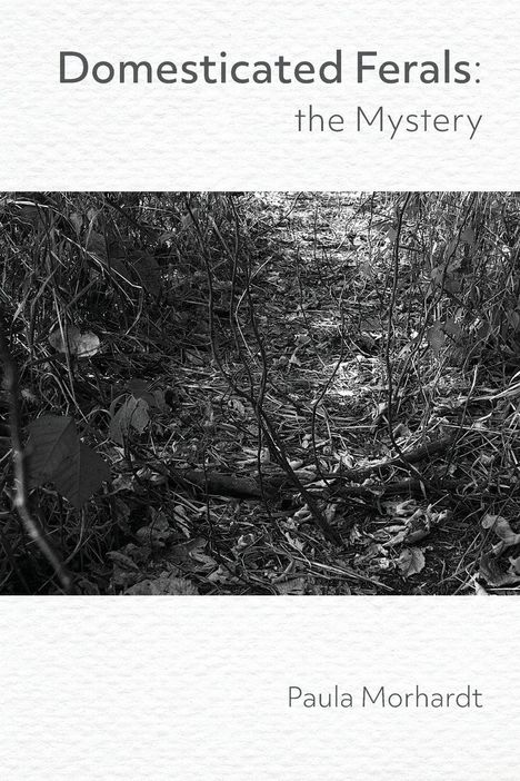Text: "Domesticated Ferals: the Mystery" und "Paula Morhardt". Schwarz-Weiß-Foto von einem bewachsenen Pfad.