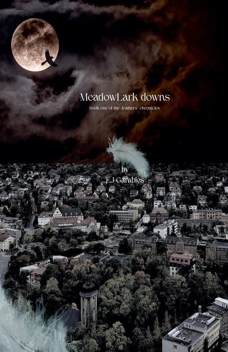 E J Gambles: Meadowlark Downs, Buch