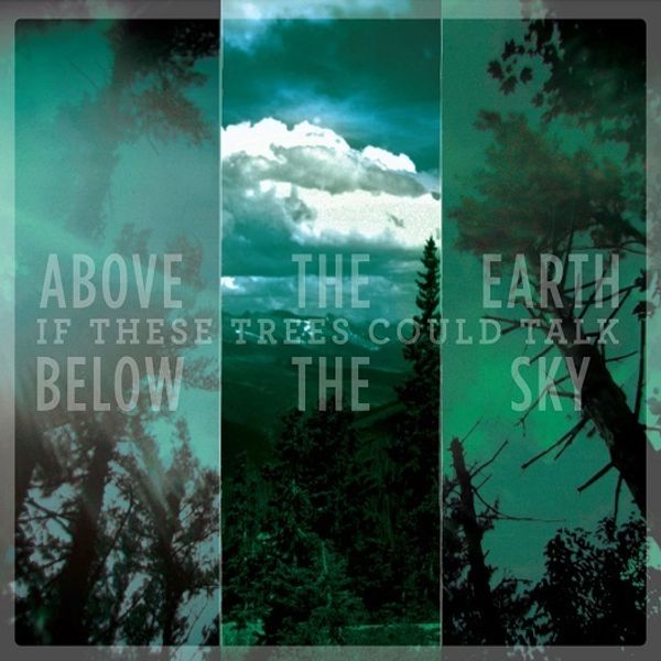 If These Trees Could Talk: Above The Earth, Below The Sky (CD)