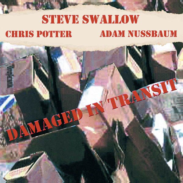 Steve Swallow: Damaged In Transit (CD)