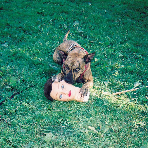 Joyce Manor: Cody (Vinyl-LP)