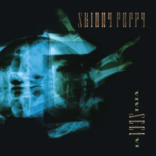 Skinny Puppy: VIVI Sect VI (Reissue) (Vinyl-LP)