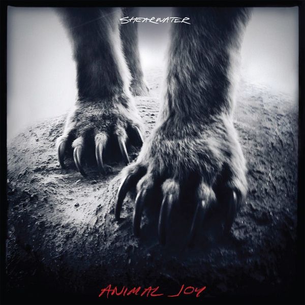 Shearwater: Animal Joy (CD)