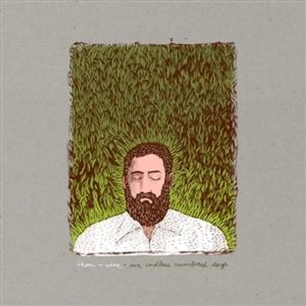 Iron And Wine: Our Endless Numbered Days (15th-Anniversary-Ed... (CD)