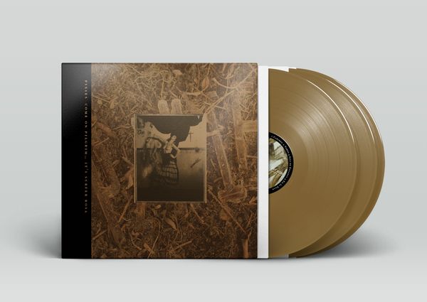 Pixies: Come On Pilgrim-Its Surfer Rosa (3 Vinyl-LPs)