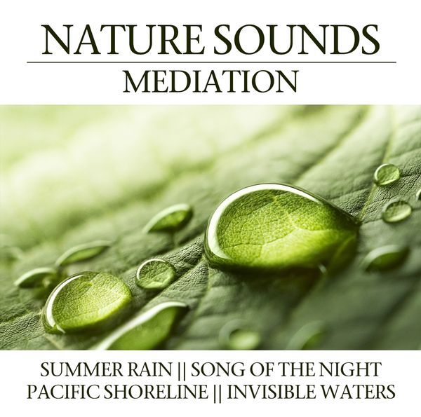 Nature Sounds Meditation (CD)