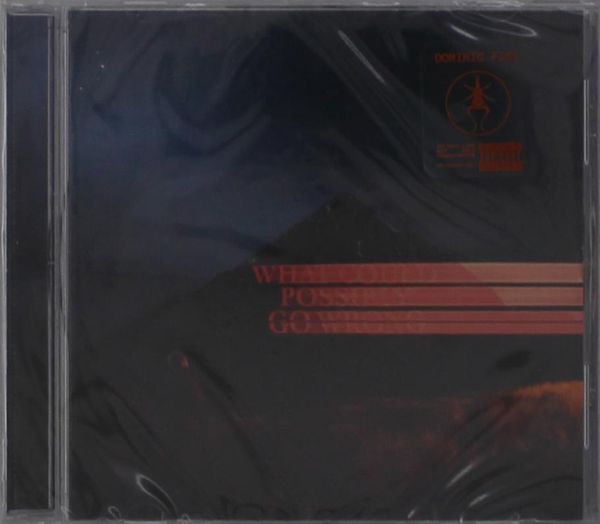Dominic Fike: What Could Possibly Go Wrong (CD)