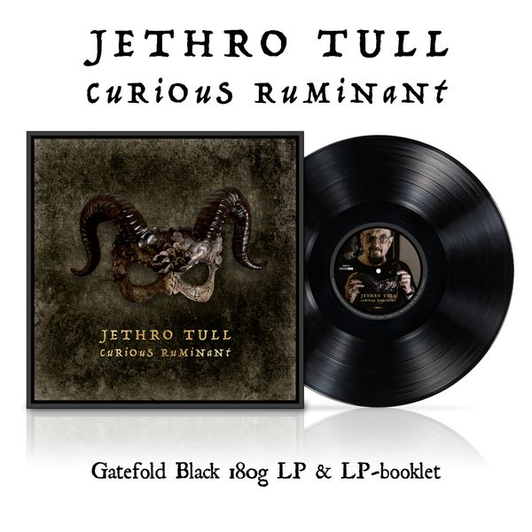 Jethro Tull: Curious Ruminant (180g) (Vinyl-LP)