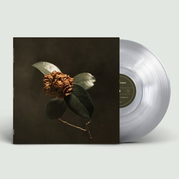 St. Paul & The Broken Bones: Young Sick Camellia (Limited Edi... (LP)