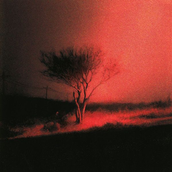Joji: Piss In The Wind (CD)