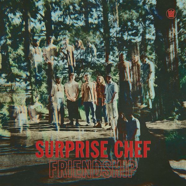 Surprise Chef: Friendship EP (Vinyl-LP)