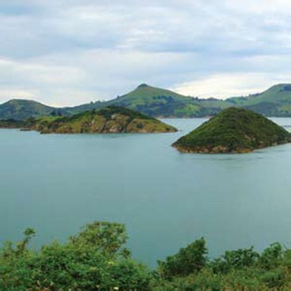 The Dead C: Secret Earth (Ep) (CD)