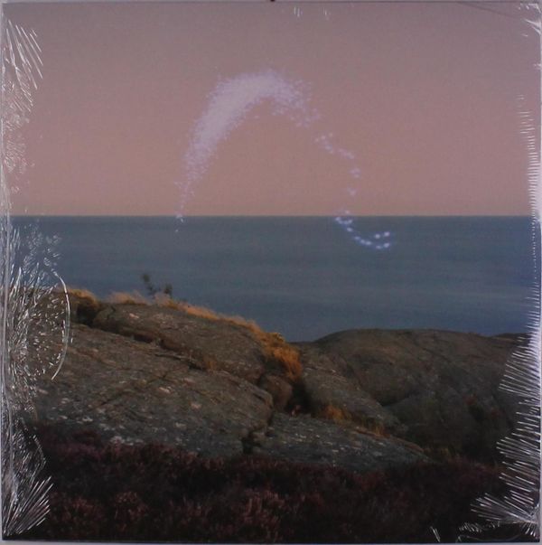 Cassandra Jenkins: An Overview On Phenomenal Nature (Vinyl-LP)