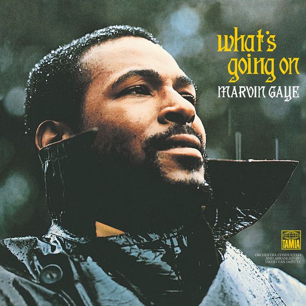 Marvin Gaye: Whats Going On (180g) (Vinyl-LP)