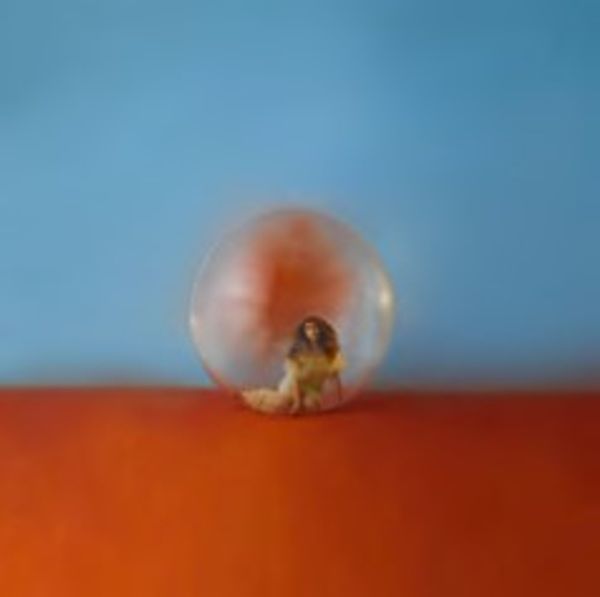 Alessia Cara: In The Meantime (2 Vinyl-LPs)