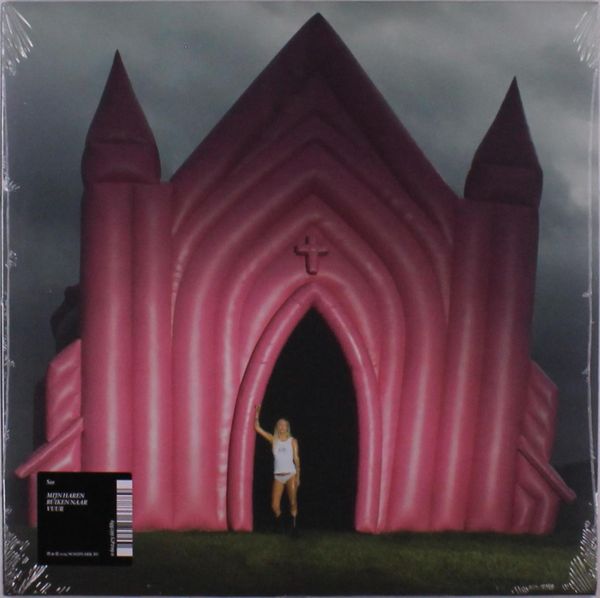 S10 (Stien Den Hollander): Mijn Haren Ruiken Naar Vuur (Vinyl-LP)