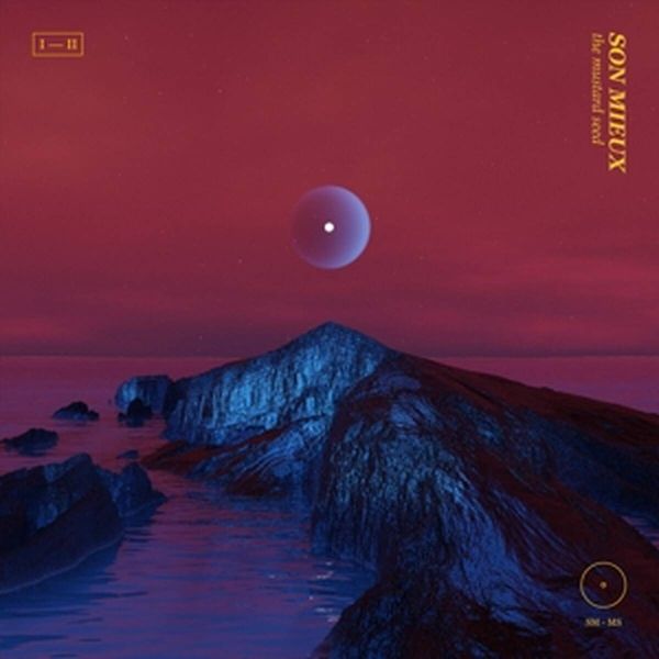 Son Mieux: 24 Hours (Vinyl-LP)