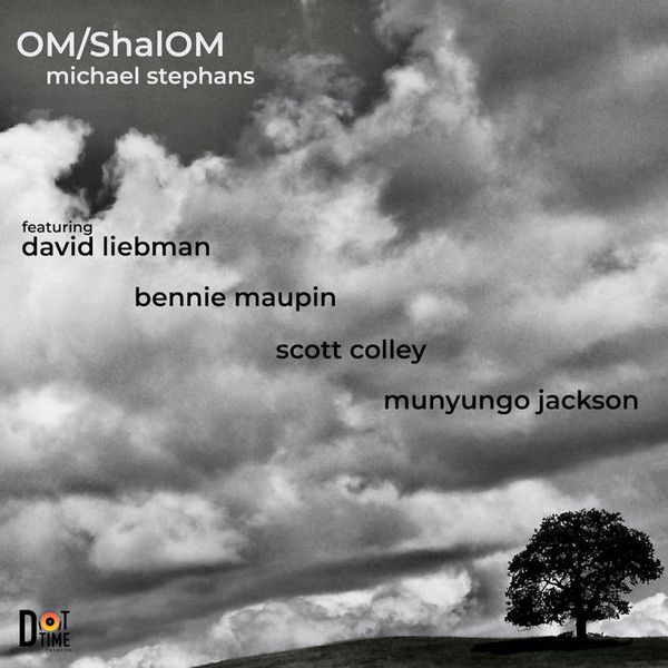 Michael Stephans: OM/ShalOM (CD)