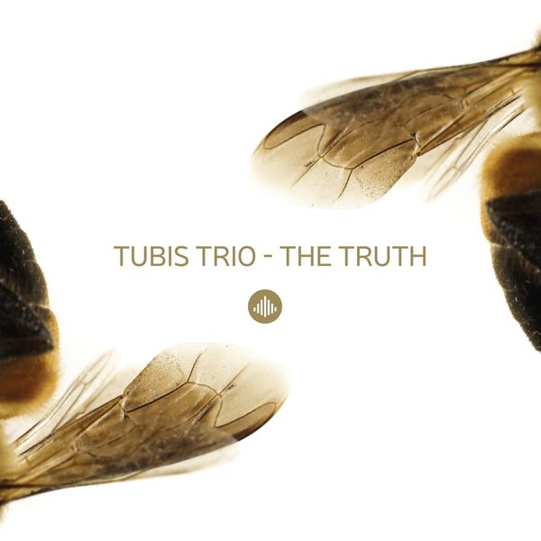 Tubis Trio: The Truth (CD)
