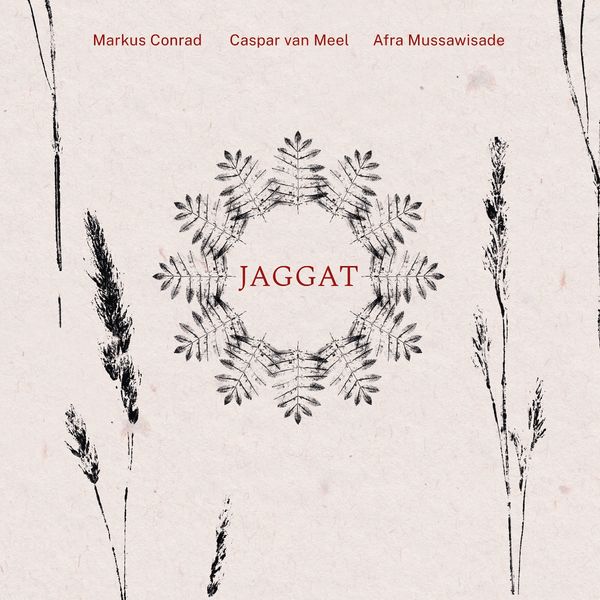Markus Conrad, Caspar Van Meel & Afra Mussawisade: Jaggat (Vinyl-LP)